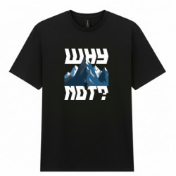 Чоловічі футболки Gildan - FATLINE