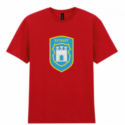 Чоловіча футболка Gildan Житомир герб