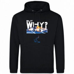 Худі чоловічі