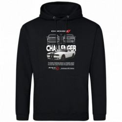 Худі чоловічі