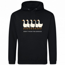 Худі чоловічі