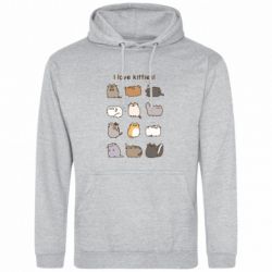 Худі чоловічі