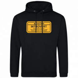 Худі чоловічі