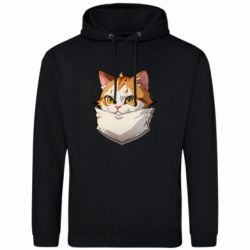 Худі чоловічі