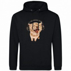 Худі чоловічі