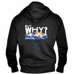 Чоловічі худі на блискавці