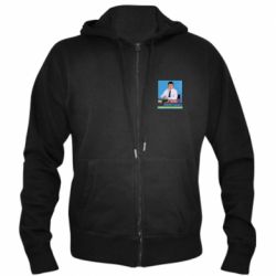 Чоловічі худі на блискавці