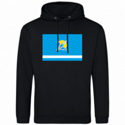 Худі чоловічі