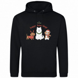 Худі чоловічі