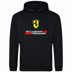 Худі чоловічі