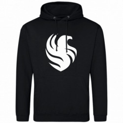 Худі чоловічі