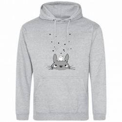 Худі чоловічі