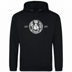 Худі чоловічі