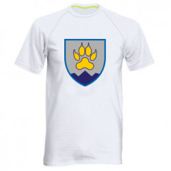 Мужские спортивные футболки