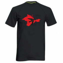 Мужские спортивные футболки