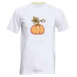 Мужские спортивные футболки