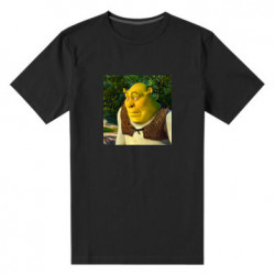 Мужские стрейчевые футболки