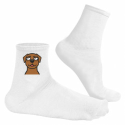 Носки мужские