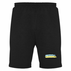 Мужские шорты