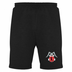 Мужские шорты