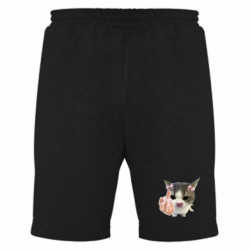 Мужские шорты