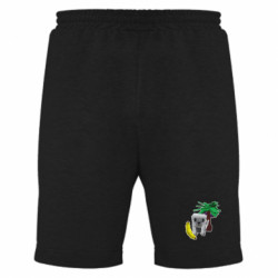 Мужские шорты