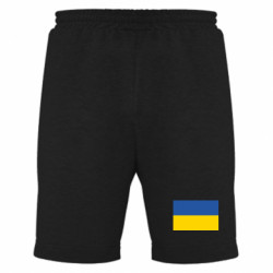 Чоловічі шорти