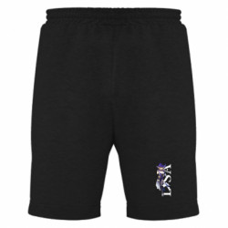 Мужские шорты