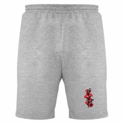 Мужские шорты