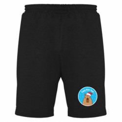 Мужские шорты