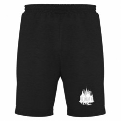 Мужские шорты