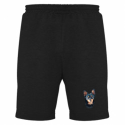 Мужские шорты