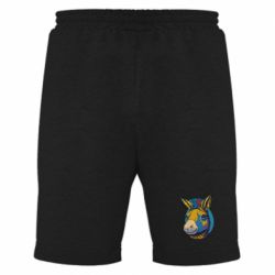 Мужские шорты Радужный осел - FATLINE Мужские шорты Радужный осел