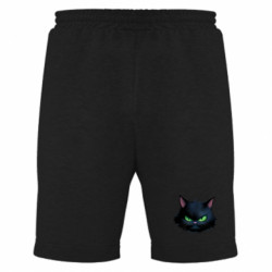 Мужские шорты