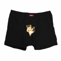 Мужские трусы Лошадка удачи в год Лошади - FATLINE Мужские трусы Лошадка удачи в год Лошади