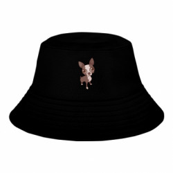 Детские панамы