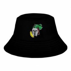 Детские панамы