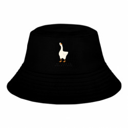 Детские панамы