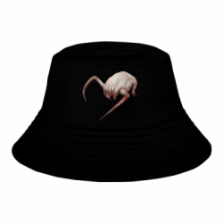 Детские панамы