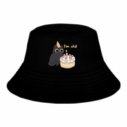 Детские панамы