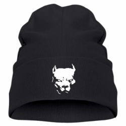 Детская шапка Питбуль - FATLINE Детская шапка Питбуль