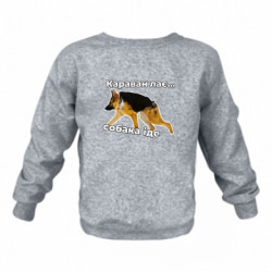 Детские свитшоты