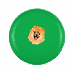 Фрисби шпиц - FATLINE Фрисби шпиц