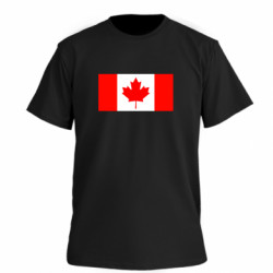 Футболки чоловічі преміум FATLINE - FATLINE