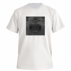 Футболки мужские премиум FATLINE - FATLINE