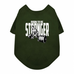 Футболки для собак