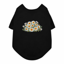 Футболки для собак