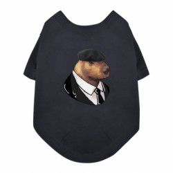 Футболки для собак