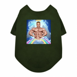 Футболки для собак