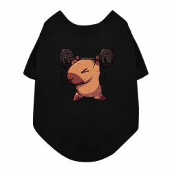 Футболки для собак